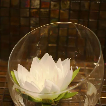 Frühstückspension Prima Luxury